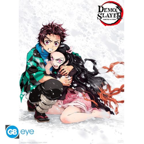 Plagát Demon Slayer - Tanjiro & Nezuko (52x38)