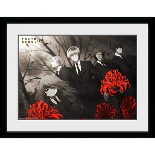 Zarámovaný plagát Tokyo Ghoul: Re - Red Flowers