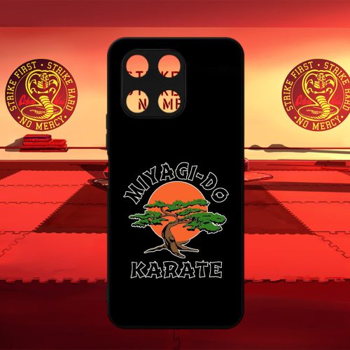 Cobra Kai - Miyago-Do - Honor obal 