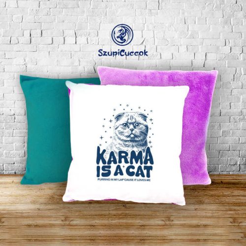 Taylor Swift - Karma is a Cat plyšová obliečka na vankúš (viac farieb)