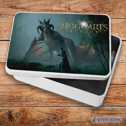 Hogwarts Legacy Drak kovový sendvičový box (úložný box)