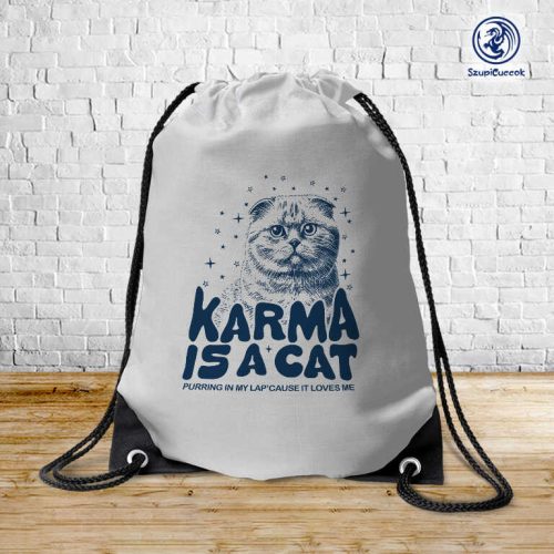 Taylor Swift - Karma je mačka vak na šnúrky